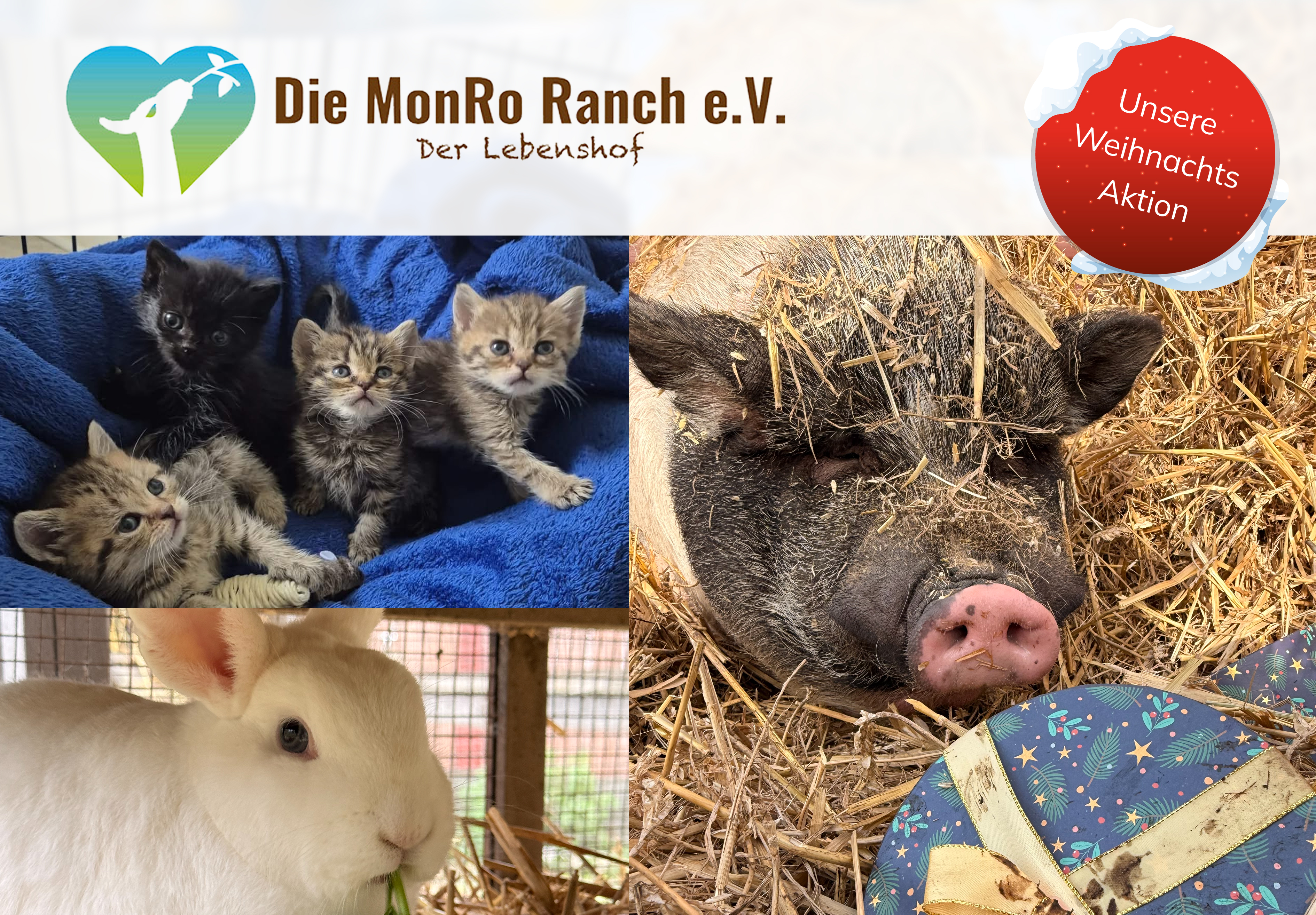 willkommen it azubis 1