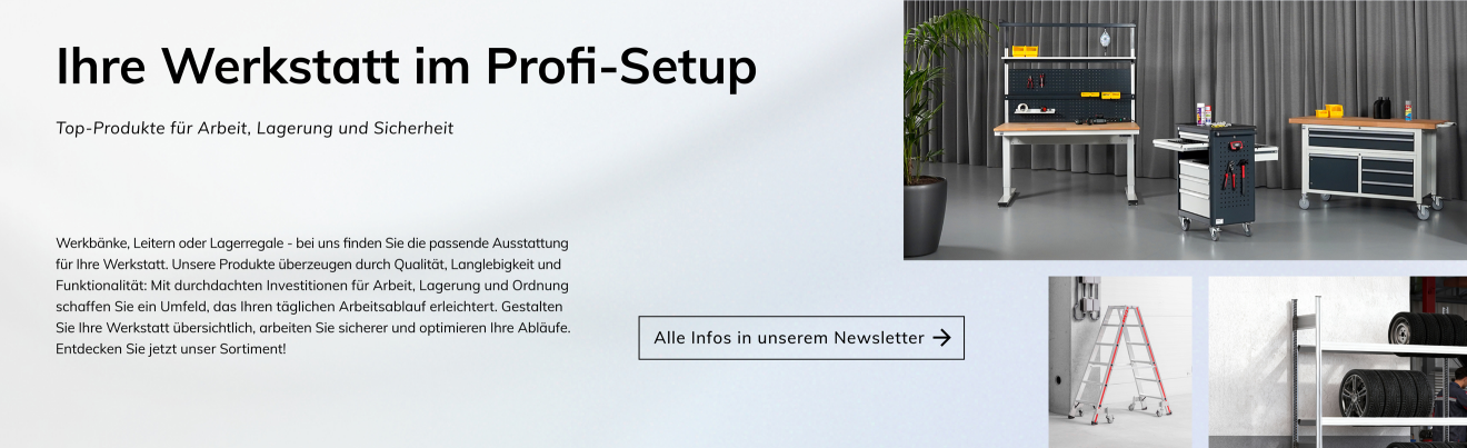 Newsletter: Werkstatt-Profi